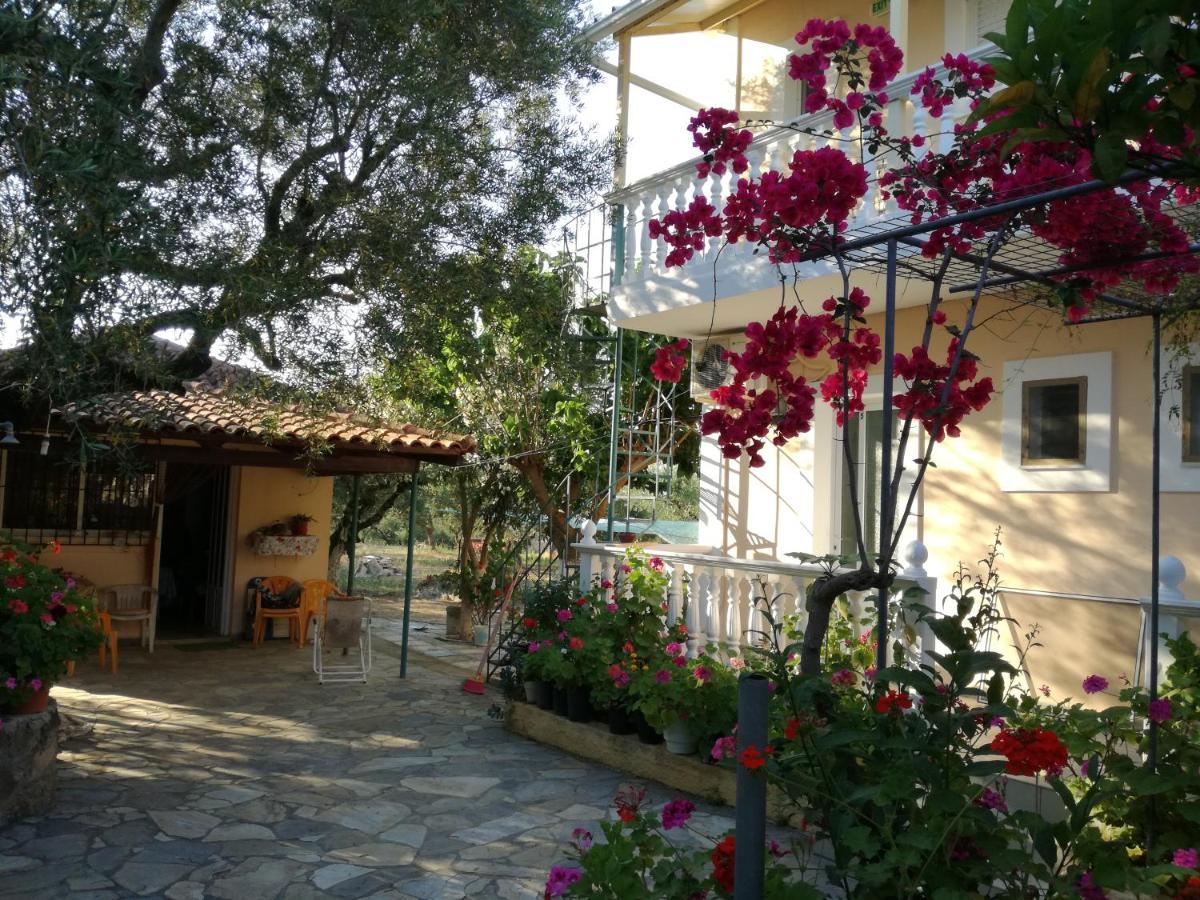 Aparthotel Casa Dyonisia Tsilivi Plános Esterno foto