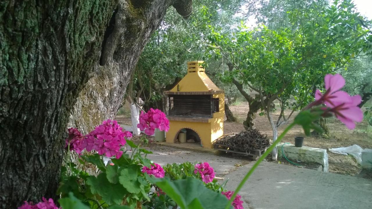 Aparthotel Casa Dyonisia Tsilivi Plános Esterno foto