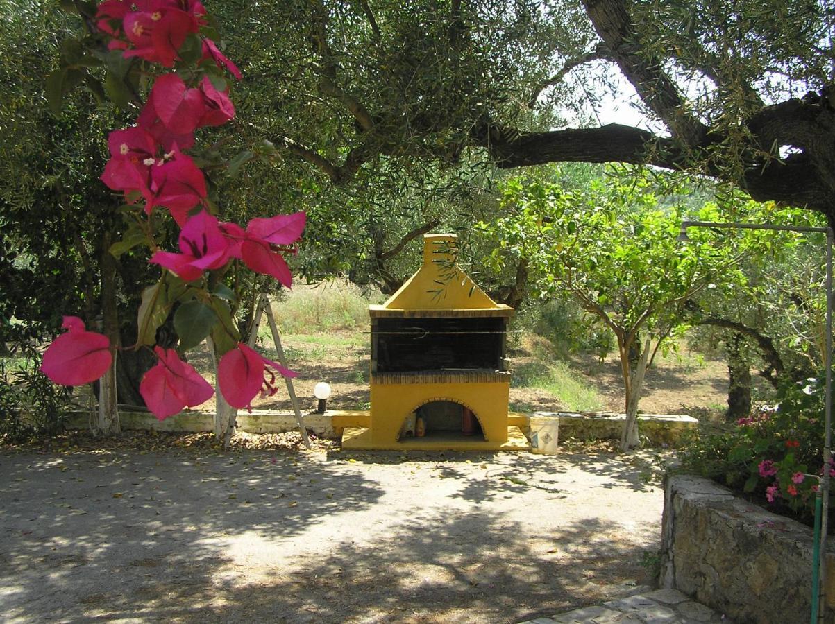 Aparthotel Casa Dyonisia Tsilivi Plános Esterno foto